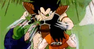 Raditz's Reflexes DBZ.gif (1.05 MB) Raditz (Dragon Ball Z)