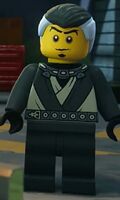 Neuro (Ninjago: Masters of Spinjitzu) is the Master of the Minds.