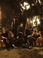 Circle members (The Secret Circle) are stronger together.