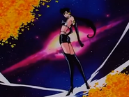 Seiya Kou/Sailor Star Fighter (Sailor Moon)