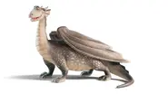 Silver Drake.webp (26 KB) Firedrake (Dragon Rider)