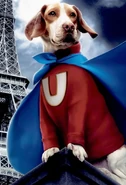 Shoeshine/Underdog (Underdog live action movie)