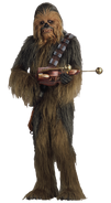 Chewbacca (Star Wars), a Wookie