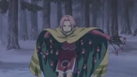 Sakura Haruno (Naruto) has intelligent and clever use of kunai such as Sakura Blizzard Jutsu.