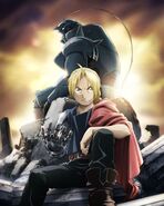 After their failed attempt at bringing their mother back to life, Edward and Alphonse Elric (Fullmetal Alchemist: Brotherhood) suffered the backlash of the "Law of Equivalent Exchange," costing Ed his right arm and left leg and Al his entire body.