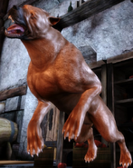 A Mabari War Hound (Dragon Age series)