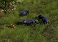 Fenris Wolf Brood (Age of Mythology)
