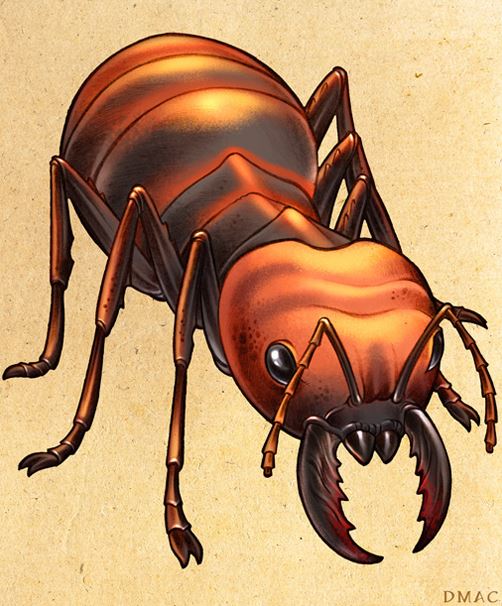 Gold-Digging Ant (Medieval Bestiary/India) - Giant, golden ants