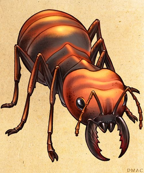 Gold-Digging Ant by BangBooDoragon on DeviantArt