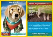 After gaining an Inspiron Power Ring, Mudbud (Air Buddies) was able to turn invisible.