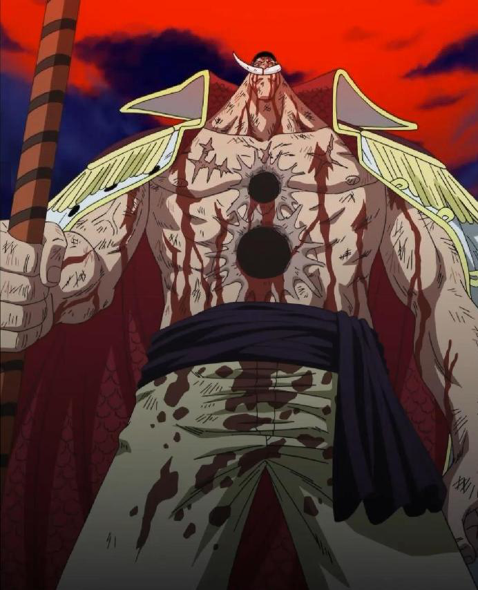 one piece whitebeard dies