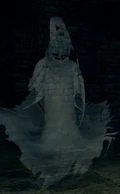 Ghosts (Dark Souls) are the spirits of the former inhabitants of New Londo, who were all killed when the city was flooded and sealed away to contain the Darkwraiths.