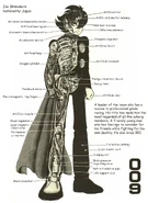 Cyborg 009 anatomy