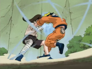 Members of the Hyuga clan (Naruto) can use the Gentle Fist fighting style to deal crippling blows, blocking chakra flow and causing internal damage.