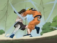 Neji Hyūga (Naruto) uses Gentle Fist to strike precisely internal points to disable his opponents.