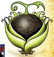 The Kage Kage no Mi (One Piece); which gives the power to remove Shadows.