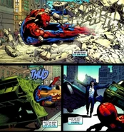 Spidey Durabilty.jpeg (280 KB) Peter Parker/Spider-Man's (Marvel Comics) durability allows him to recover quickly from devastating attacks and being smashed through buildings...