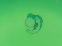 Cell (Dragon Ball Z) was born and cultivated in a specialized birthing tank by Dr. Gero.