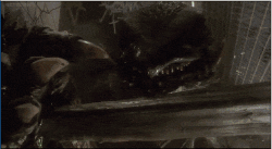 Iris DNA.gif