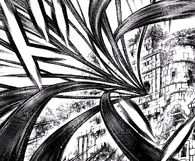 Someone's going to die.