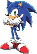 Sonic the Hedgehog (Sonic X), an anthropomorphic hedgehog from an another planet which is a parallel dimension to Earth.