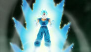 ...and like his fusees, Vegito can also become a Super Saiyan Blue...