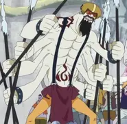 Ikaros Much (One Piece)