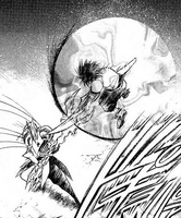 Joker (Flame of Recca) using his Taishaku Kaiten to create a gravity field, either increasing or decreasing the force on the specific area.