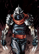 The Shredder (Teenage Mutant Ninja Turtles) is extremely strong and agile from decades of training in martial arts able to match the Ninja Turtles.