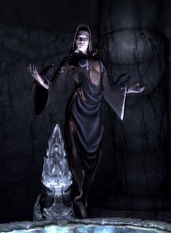 Nocturnalportrait.jpg