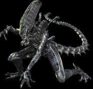 Xenomorph (Aliens)