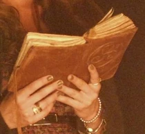 The Meade Book of Shadow (The Secret Circle)