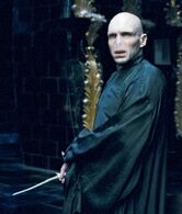 Lord Voldemort (Harry Potter) was a talented dark wizard that was able to create his own spells and curses.