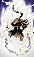 Yoruichi (Bleach) Thunder Goddess