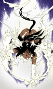 Yoruichi Shihoin (Bleach) uses Shunko to clad herself in an aura of powerful Kido.