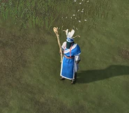 Shamans (Age of Empires IV)