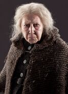 Professor Bathilda Bagshot (Harry Potter) was stated to be the greatest magic historian, having authored many great books on magic history including A History of Magic, an important textbook of Hogwarts.