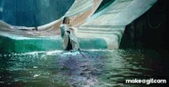 Elder Mermaid (The Mermaid 2016)
