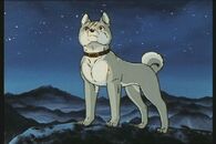 Gin (Ginga)