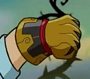 Fist of Iron Bear (Xiaolin Chronicles)