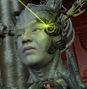 The Borg King (Star Trek Online) was the ruler of the Borg Kingdom.
