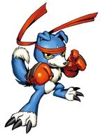 Gaomon (Digimon)