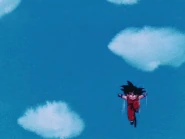 Son Goku (Dragon Ball)