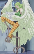 Monet (One Piece) is an artificial harpy who is a spy and an officer of the Donquixote Family.
