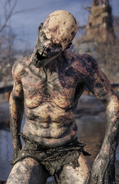 Humanimals (Metro) are a species of mutant derived from humans who have been exposed to less radiation outside of the cities, which was sufficient enough to mutate them, they are also less intelligent than Dark Ones.