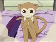 Ritsu as the Monkey of the Zodiac