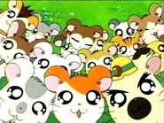 Hamsters (Hamtaro)