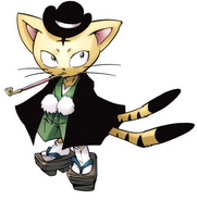 Matamune (Shaman King) was once a normal cat who has lived for thousand of years, after he was found by Asakura Hao who turned him to spirit after his death, as well as giving him a portion of his Furyoku.