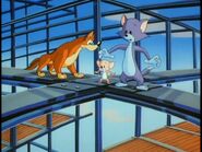 Tom and Jerry (Animaniacs)