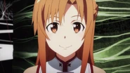 Asuna Yuuki's (Sword Art Online) avatar in Sword Art Online...